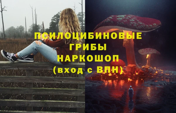 стафф Ступино