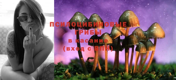 стафф Ступино