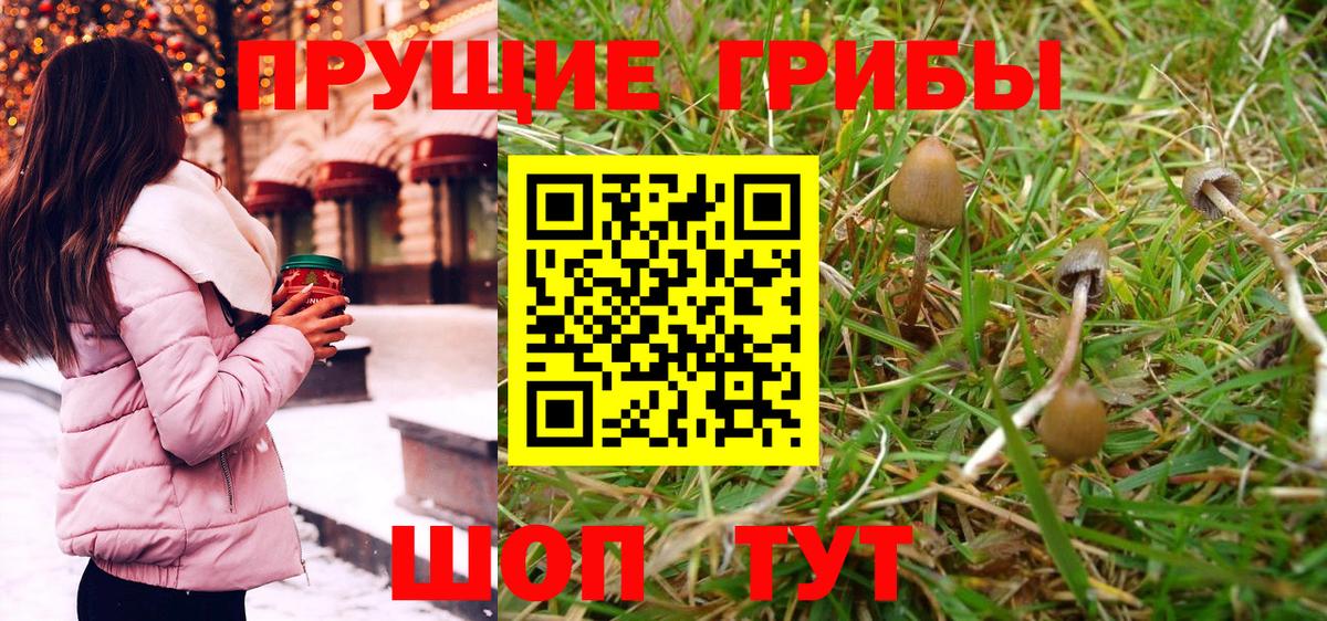 Углич  что такое   Вход с VPN  Галлюциногенные грибы GOLDEN TEACHER 