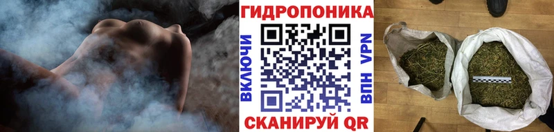 Каннабис OG Kush  Углич 